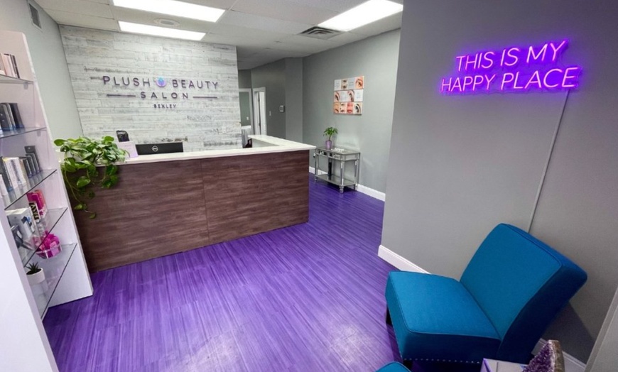 Image 2: Powder (Micro Shading) Brows with Tommie at Plush Beauty Salon Bexley