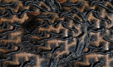 Loc Shampoo And Retwist - Unique Hair Services