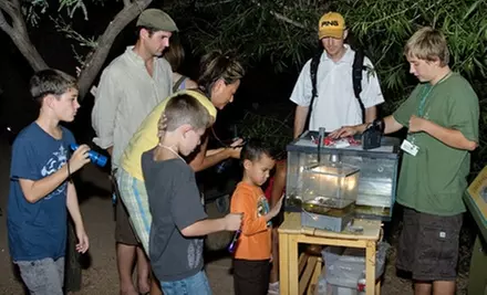 Garden Flashlight Tour at Desert Botanical Garden - Primary Image