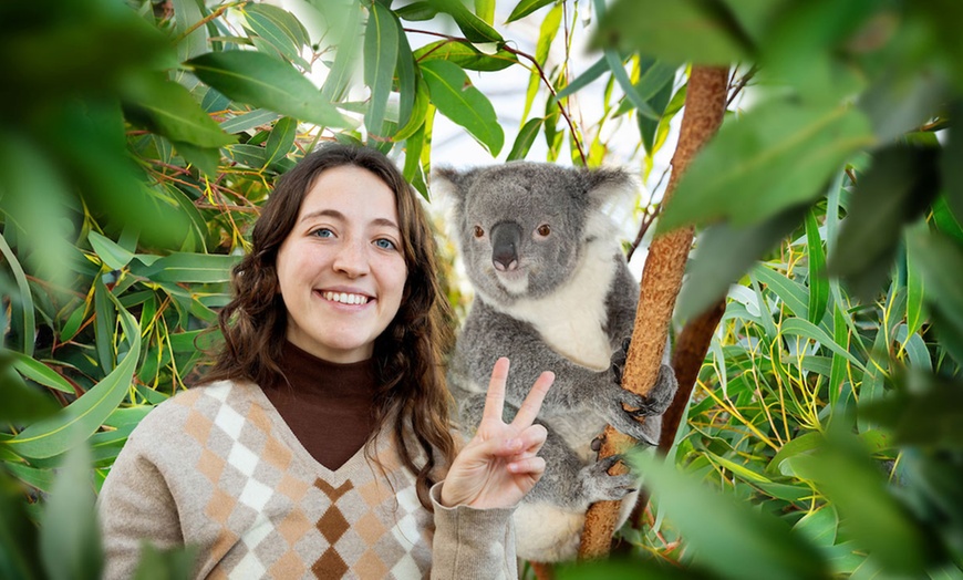 Image 5: Visit Madame Tussauds or More and SEA LIFE Sydney with Combo Passes