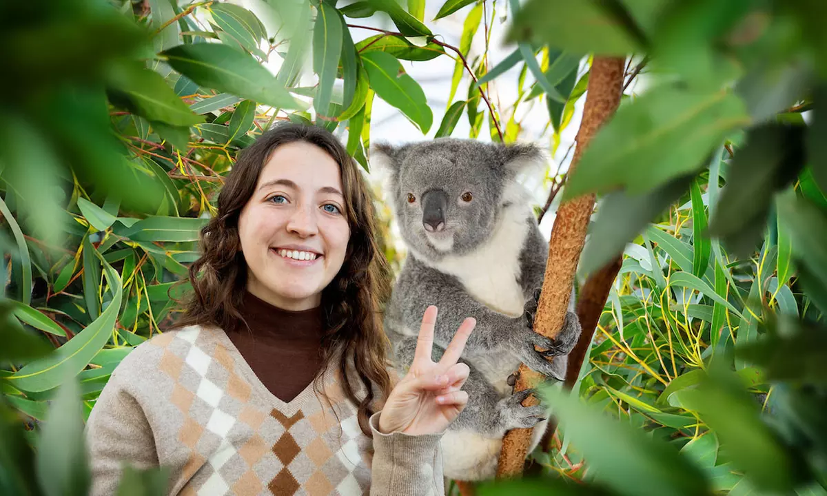 2 Attraction Pass Combo Pass - Second Medium