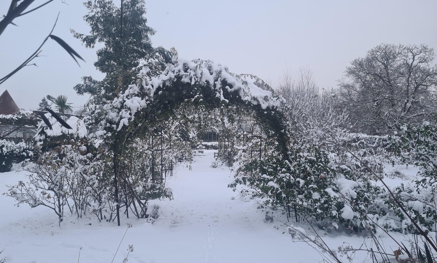 Image 26: Enjoy Festive family fun with Entry Tickets for Adults and Childrens