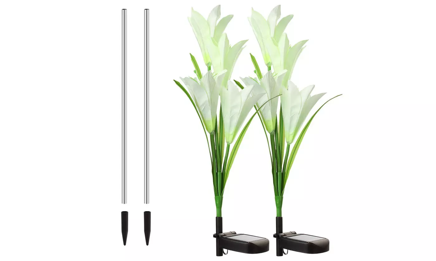 2 Pack Solar Garden Lights with Bigger Lily Flowers Color-Changing Outdoor Decor
