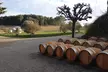 Languedoc-Roussillon : 1 ou 2 nuits avec petit-déjeuner & VTT pour 2 au Château de Belvize - Second Medium