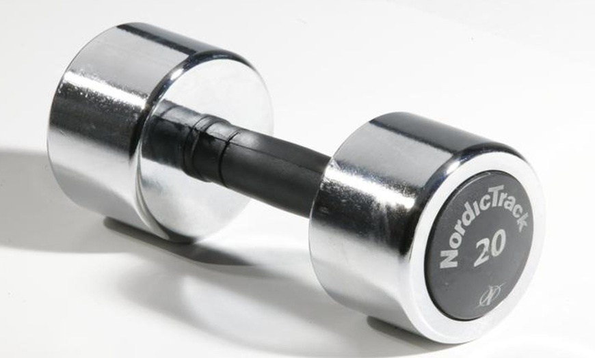 Nordic Track Chrome Dumbbells Groupon