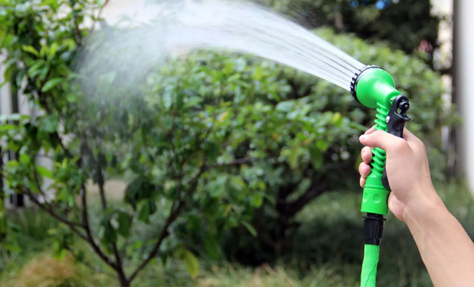 50- or 100-Foot Expandable Garden Hose from $16.99–$21.99  - Primary Image