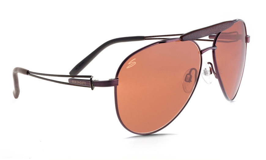 Image 18: Men's Serengeti Sunglasses