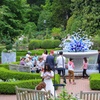 Image 7: Admission to Atlanta Botanical Garden – Midtown Urban Oasis