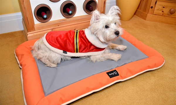 Groupon bunty dog bed hotsell