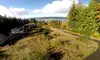 30-Minute Outdoor Photo Shoot from Gryphon Aerial Services (70% Off)