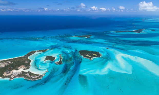 What to expect media