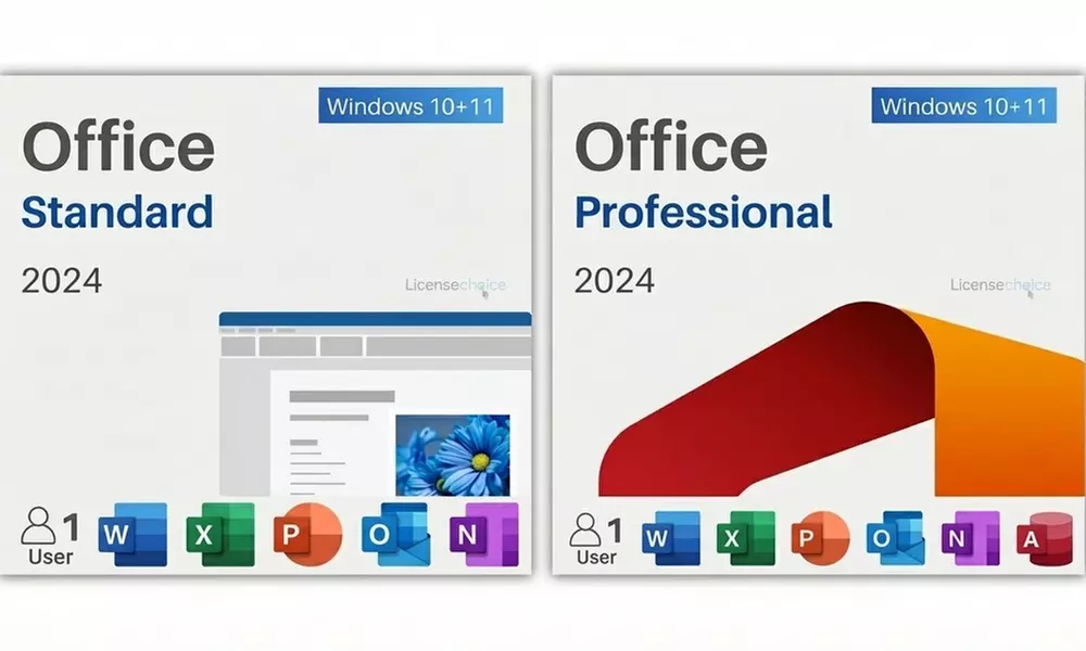 Office 2024 Professional Plus of Office 2024 Standard