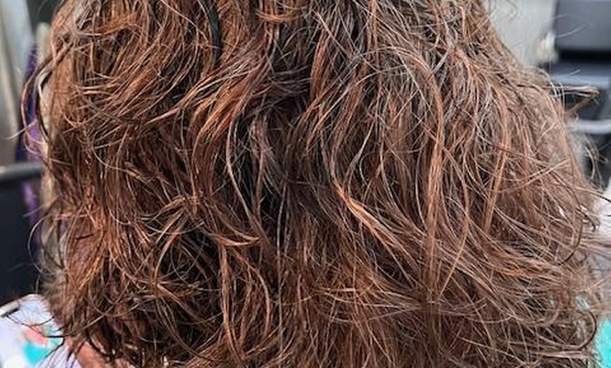 Image 6: Haircut with Conditioning & Blowdry or Choice of Hair Color Services