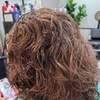 Image 6: Haircut with Conditioning & Blowdry or Choice of Hair Color Services