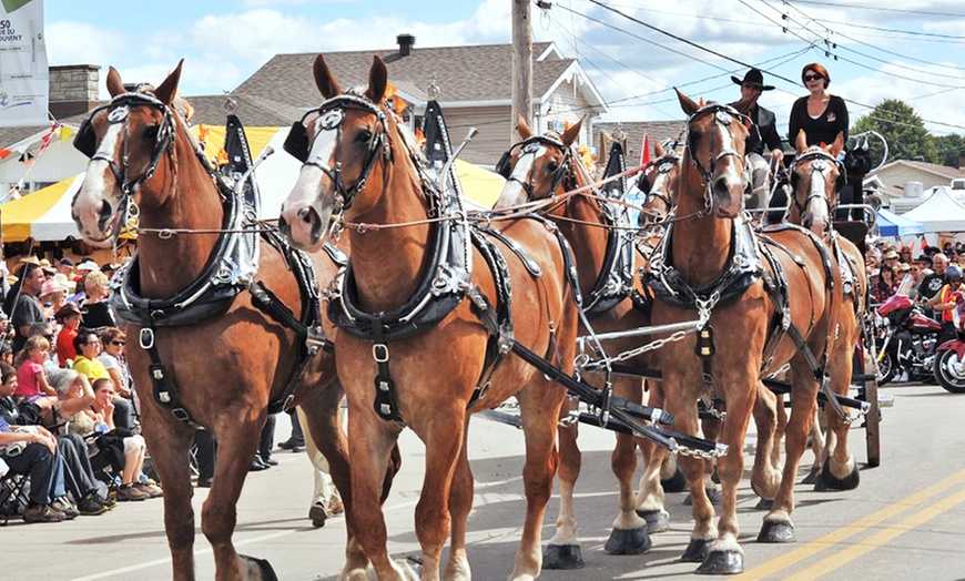 Image 6: Festival Western de St-Tite