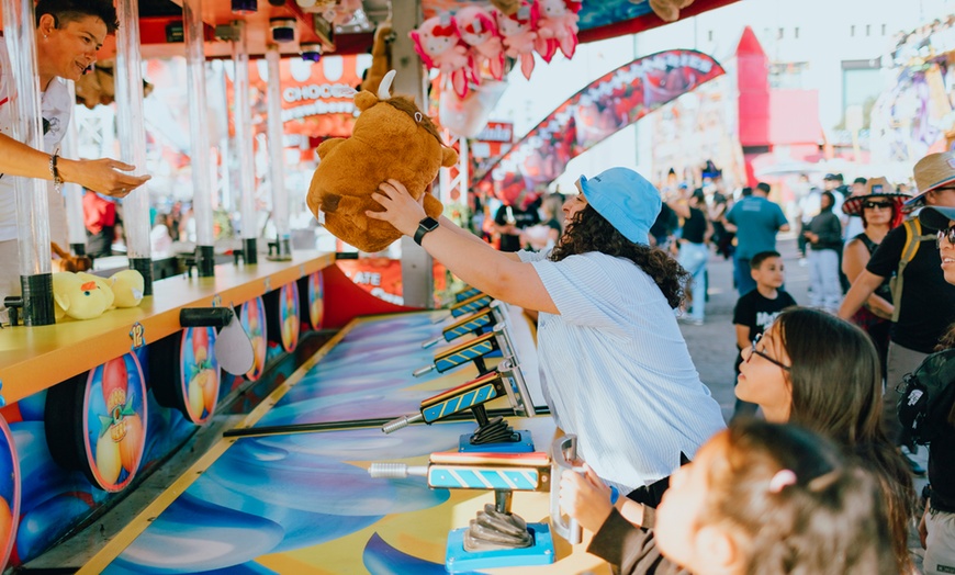 Image 9: Single Entry Ticket for 1 Adult/Child to the Best County Fair 