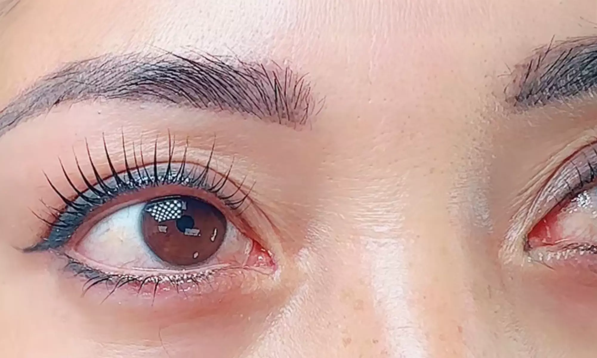 Enhance Your Look with EyeLash Lift & Tint at Blink & Brow ( Threading & Beauty ) - Primary Image