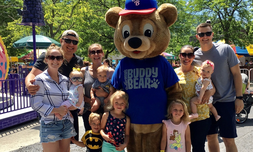 Image 3: All-Day Fun Pass at DelGrosso's Park - Rides & Water Park Admission!