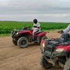 Image 17: One-Hour ATV Adventure Ride in Miami