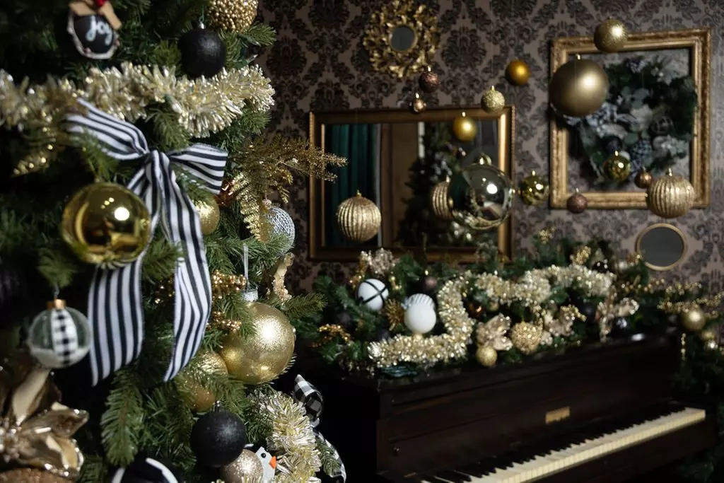 Photo Shoot Packages