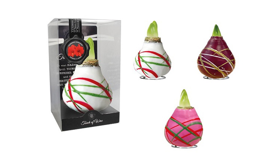 Image 7: One or Two Amaryllis Touch of Wax Art, Decorative No-Water Blooms