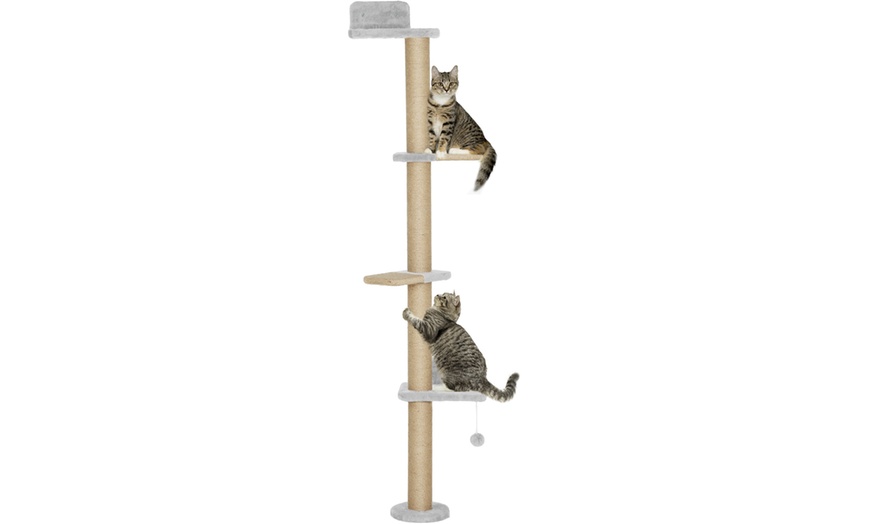 Image 2: Pawhut Wall-Mounted Cat Shelves with Four Climbing Platforms