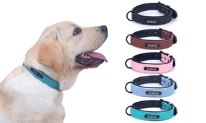 Personalised Pet Collar