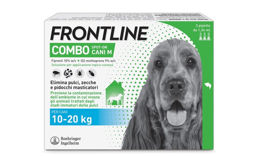Image 5: Fino a 9 pipette Frontline Combo Spot-On per cani