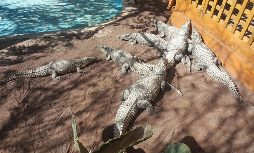 Image 7: Menú degustación de La Palma o menú de arroz para 2 con bebidas y más