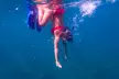 90-Minute Guided Snorkel Tour with Professional Photos for 1, 2, or 4 at Snorkel and Dive Tours (Up to 24% Off) - Second Medium