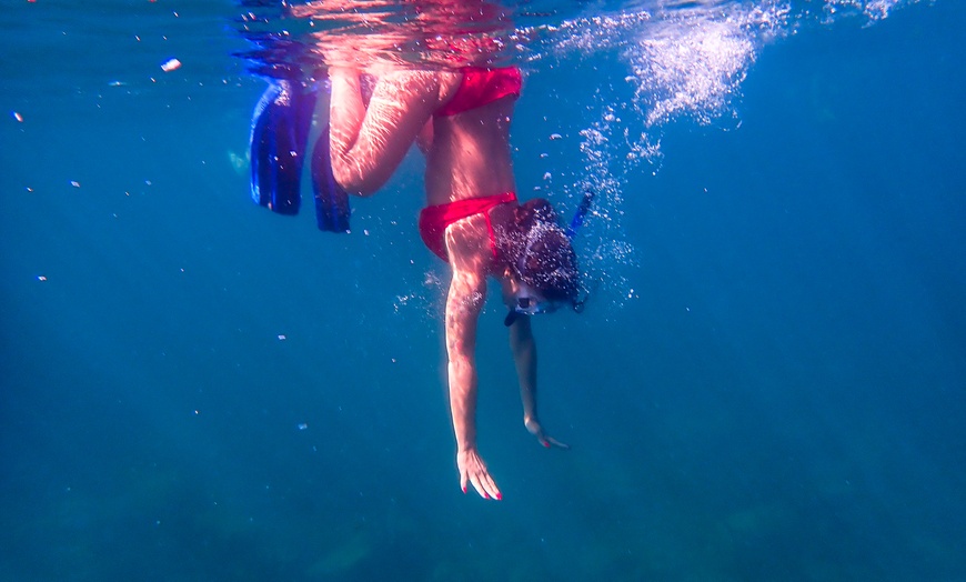 Image 2: 90-Minute Guided Snorkel Tour with Professional Photos for 1, 2, or 4