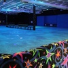Image 4: Enjoy with Roller Skating Admission and Skate Rental for 1, 2 or 4