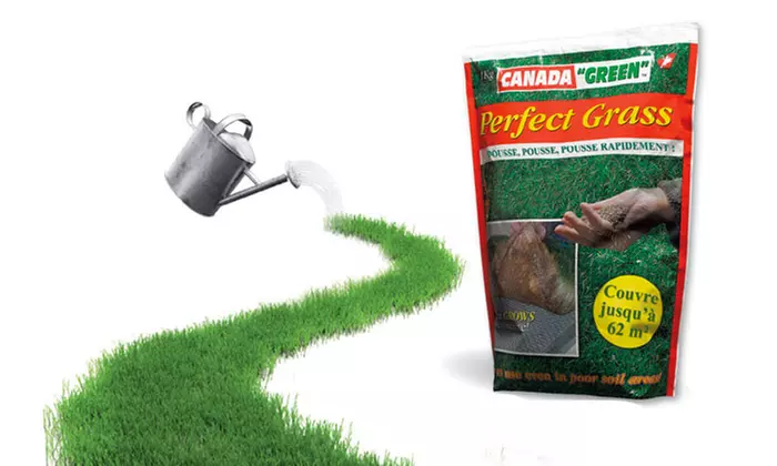 Lot de 1, 2 ou 3 sacs de gazon Perfect Grass - Primary Image
