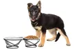 Petmaker Elevated Dog and Cat Feeding Bowls - Second Medium