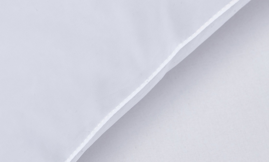 Image 2: Goose Feather and Down Cushion Inners 45cm x 45cm