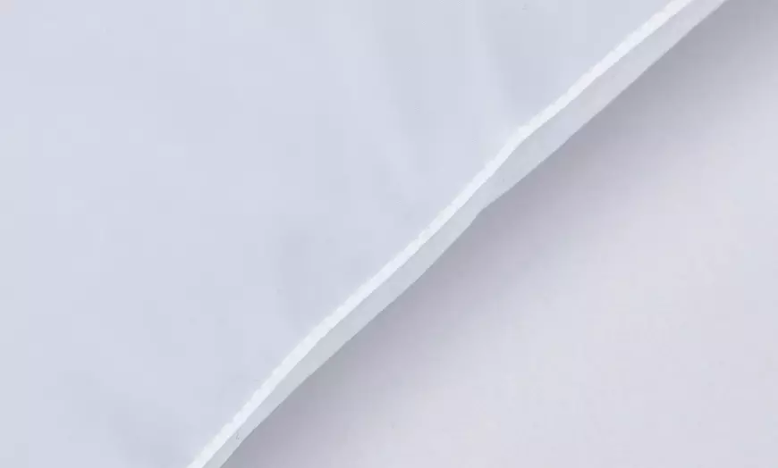Image 2: Goose Feather and Down Cushion Inners 45cm x 45cm