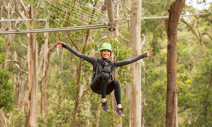 Image 1: Elevated Adventure Experience Pass