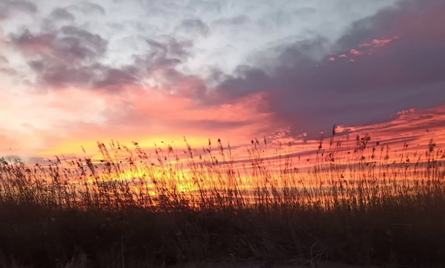 Image 7: ¡Descubre la magia de la Albufera en barca!