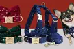 Flex your pet’s personality with comfortable and cool collars designed just for them! (Up to 71% off) - Second Medium