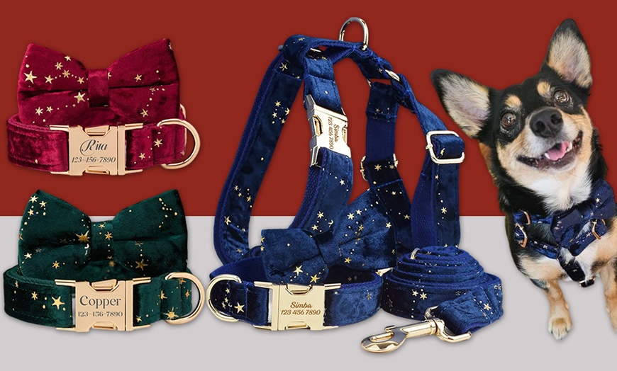 Image 3: Grab paw-some Custom Pet Collars for your furry buddies