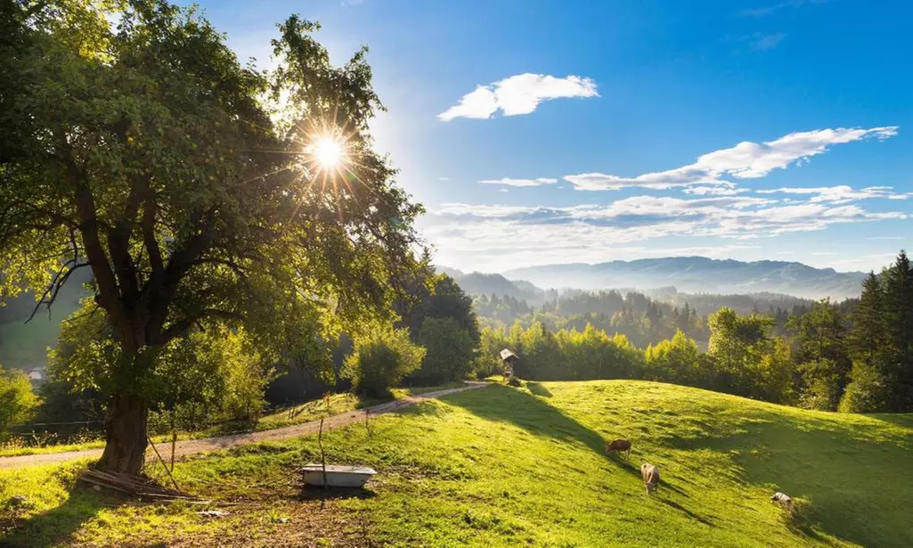 Slovenia 4*: vacanza con mezza pensione, massaggio e ingresso sauna