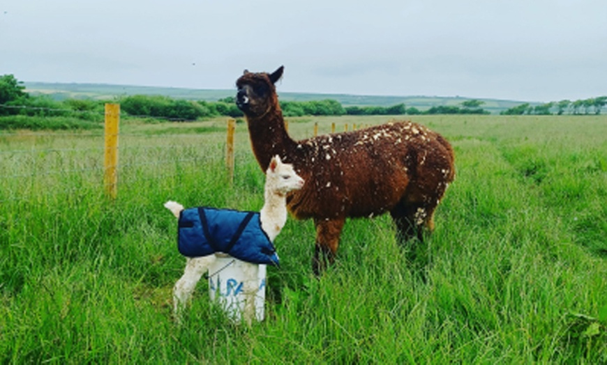 Image 5: Discover Fun with Forest/Farm School for Two or Four Children 