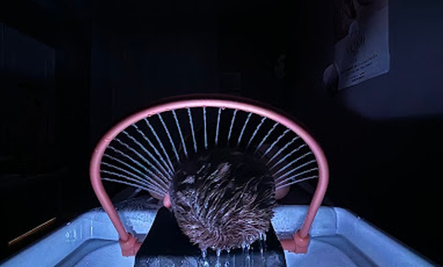 Image 4: Évasion sensorielle et soin capillaire : head spa d'1h ou 1h30
