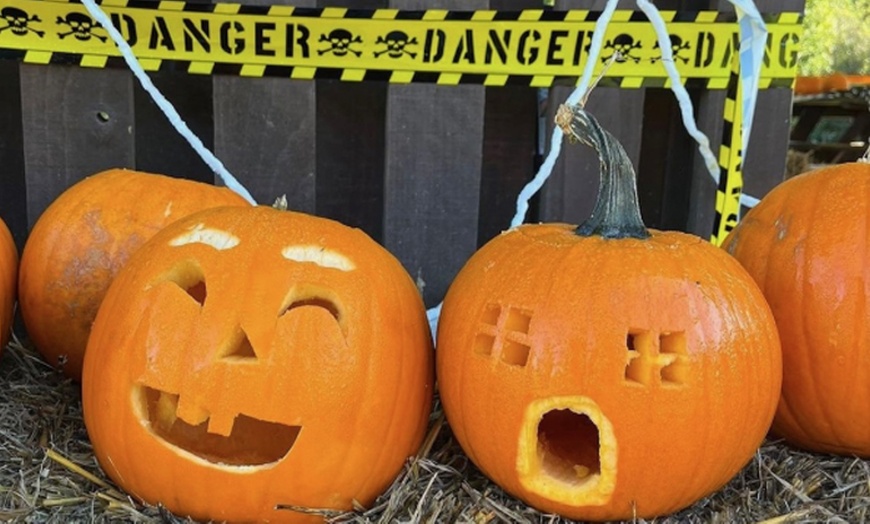 Image 1: Explore Farm Life & Enjoy Soft Play – Perfect Family Day!​