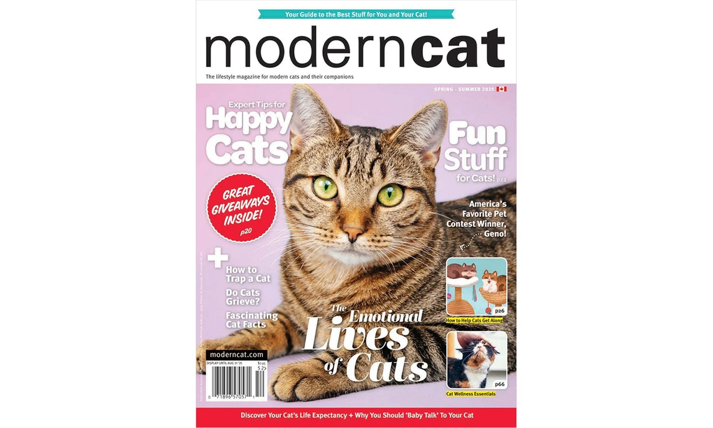 62% Off Modern Cat Magazine Subscription 