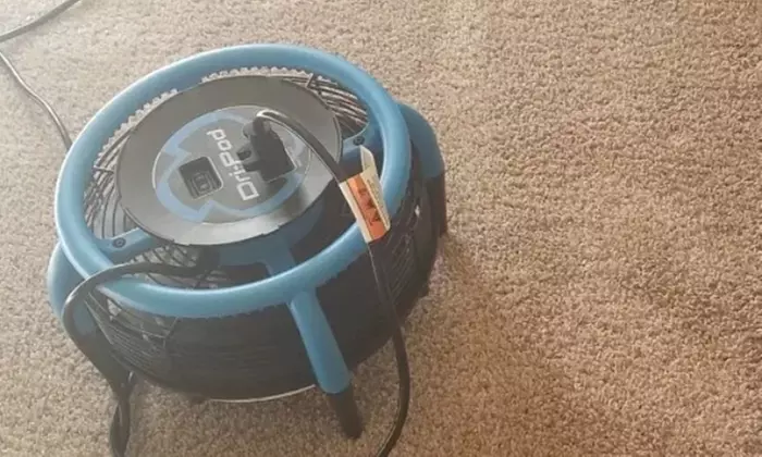 Carpet Cleaning for 2, 4, or 6 Rooms
