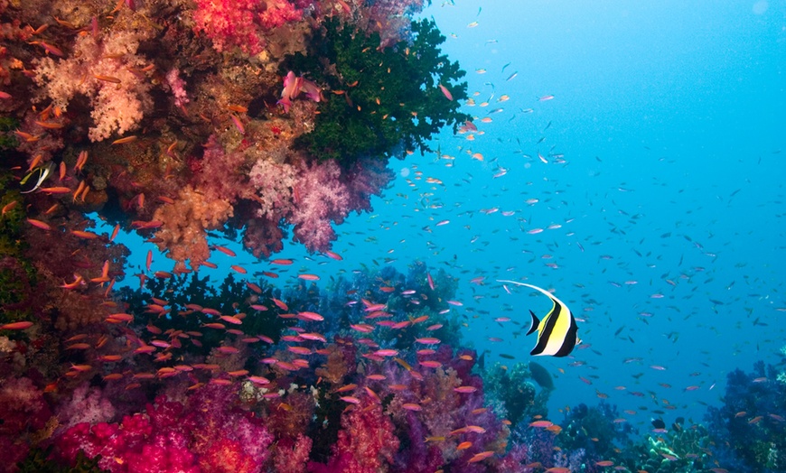 Image 6: ✈ Cairns: 5-Night Getaway at Rydges Cairns with Daily Breakfast