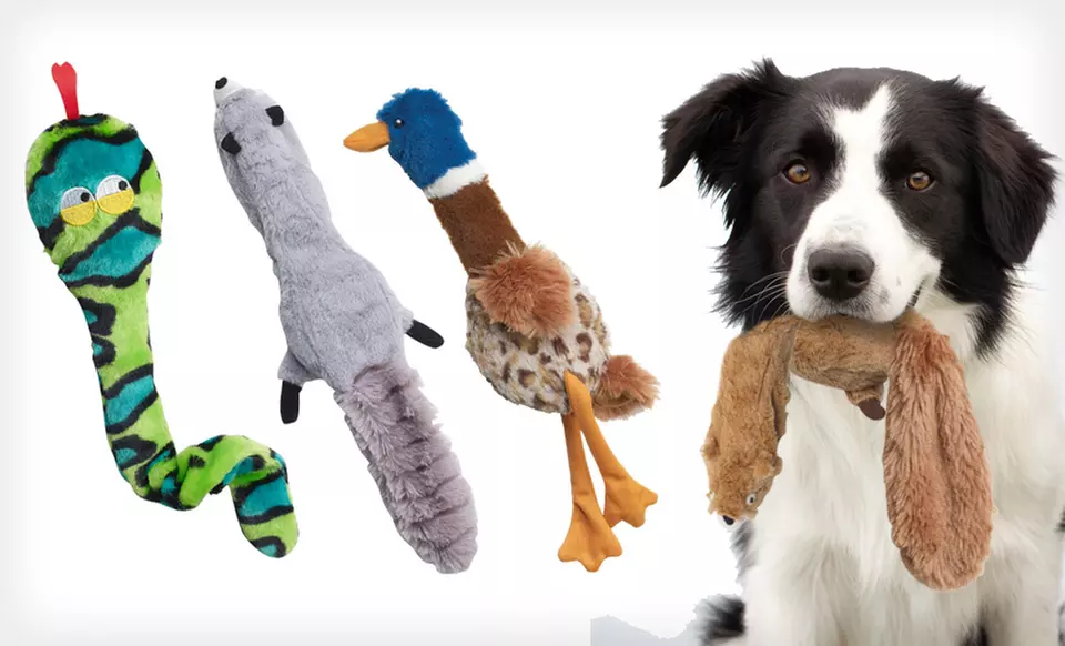 $7 for a Skinneeez Plus Pet Toy ($10.99 List Price). Six Options Available. Free Shipping. - Primary Image