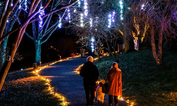 What to expect image