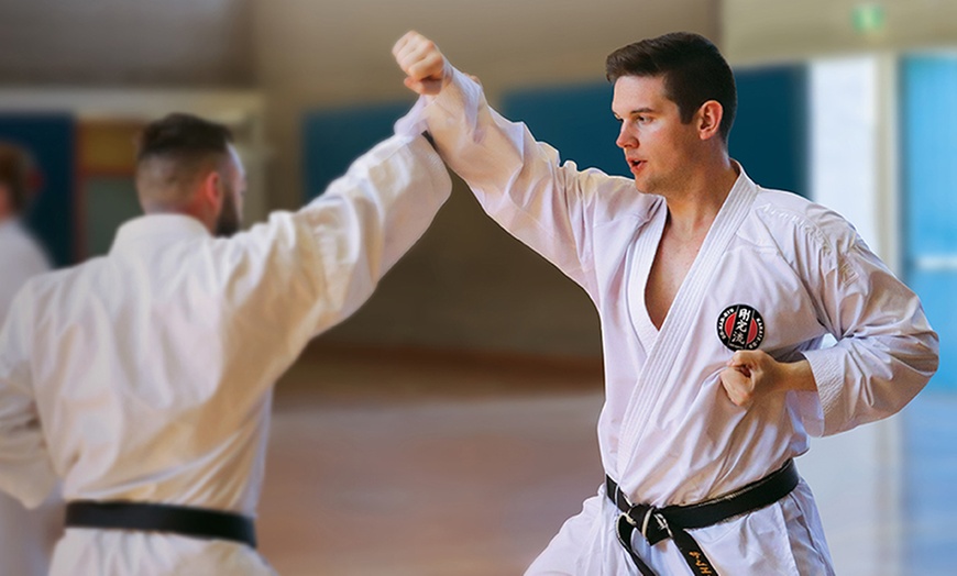 Image 8: Two-Week Unlimited Classes at GKR KARATE